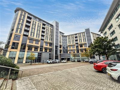Picture 19